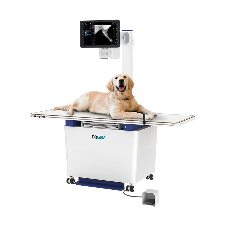 DRGEMM X-Ray System